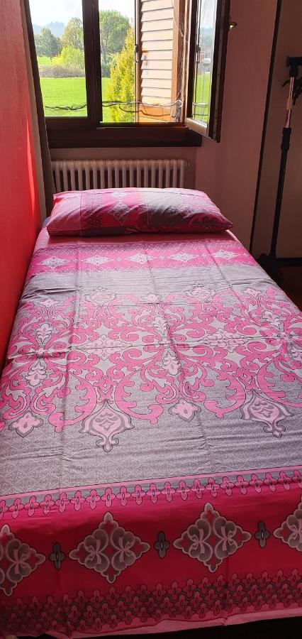 Casa Cristina Apartman Parma Kültér fotó